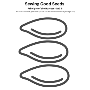 Sewing Good Seeds Worksheet
