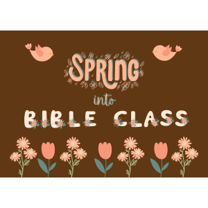 Spring into Bible Class Bulletin Board
